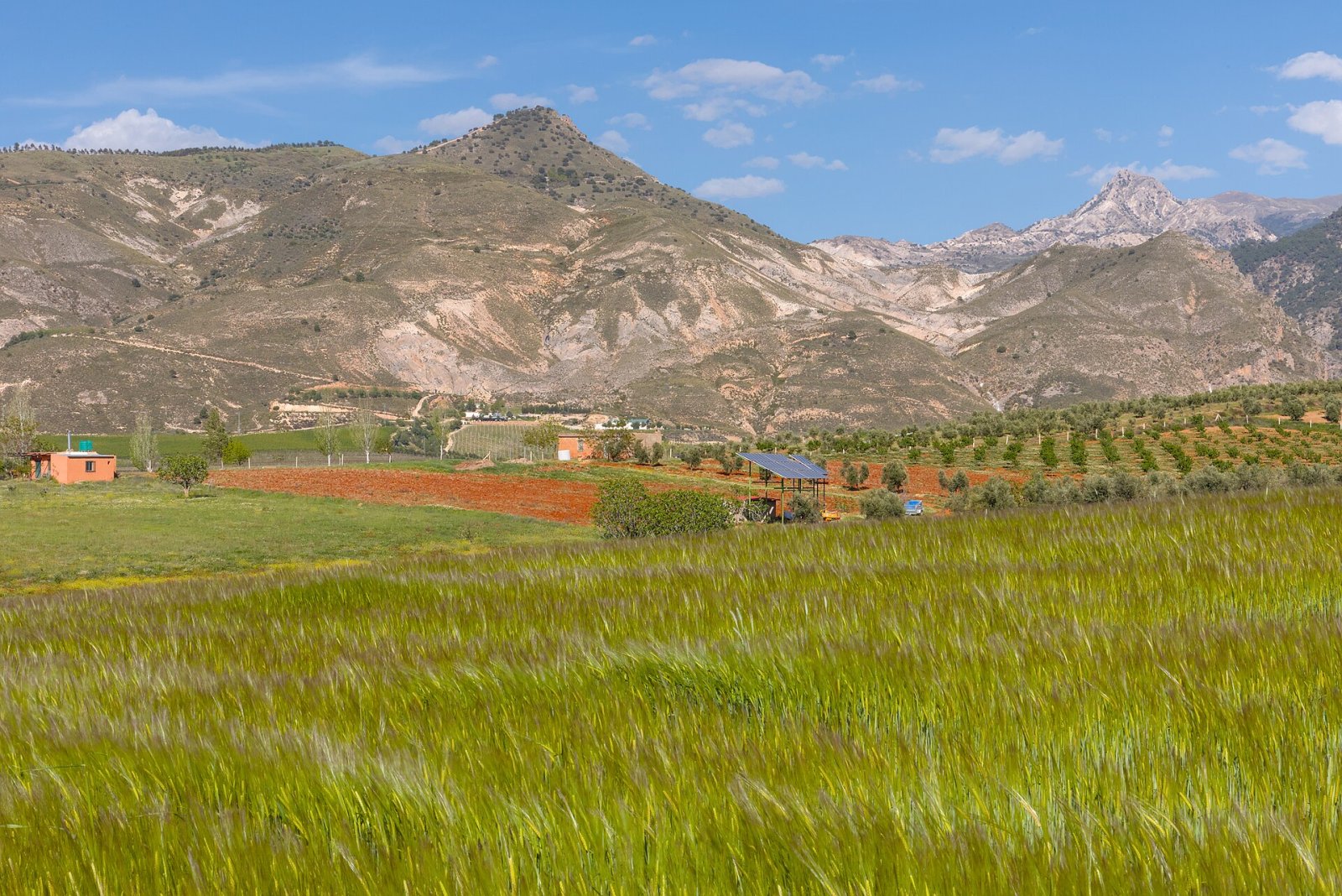 Sierra Nevada Granada: Nature and Culture in Andalusia | Secret World Trip Planner