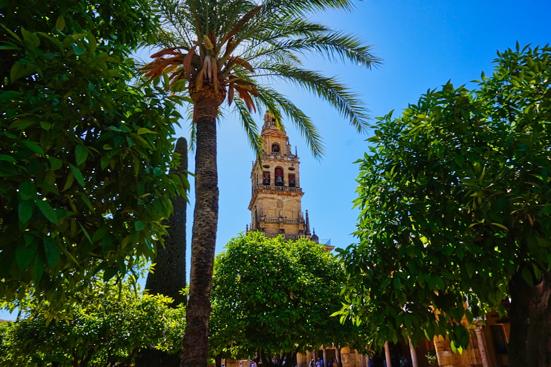 Découvrez la magie de Medina Azahara : histoire et beautés de Córdoba | Secret World Trip Planner