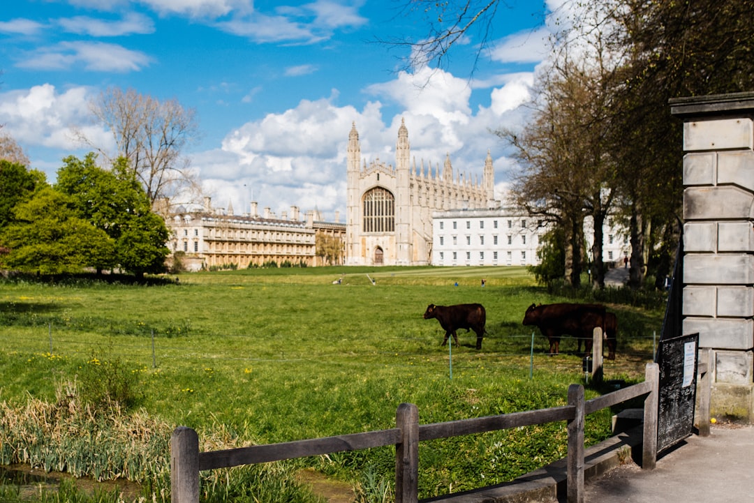 Descubrir el King's College de Cambridge: una joya cultural - Cambridgeshire | Secret World Trip Planner