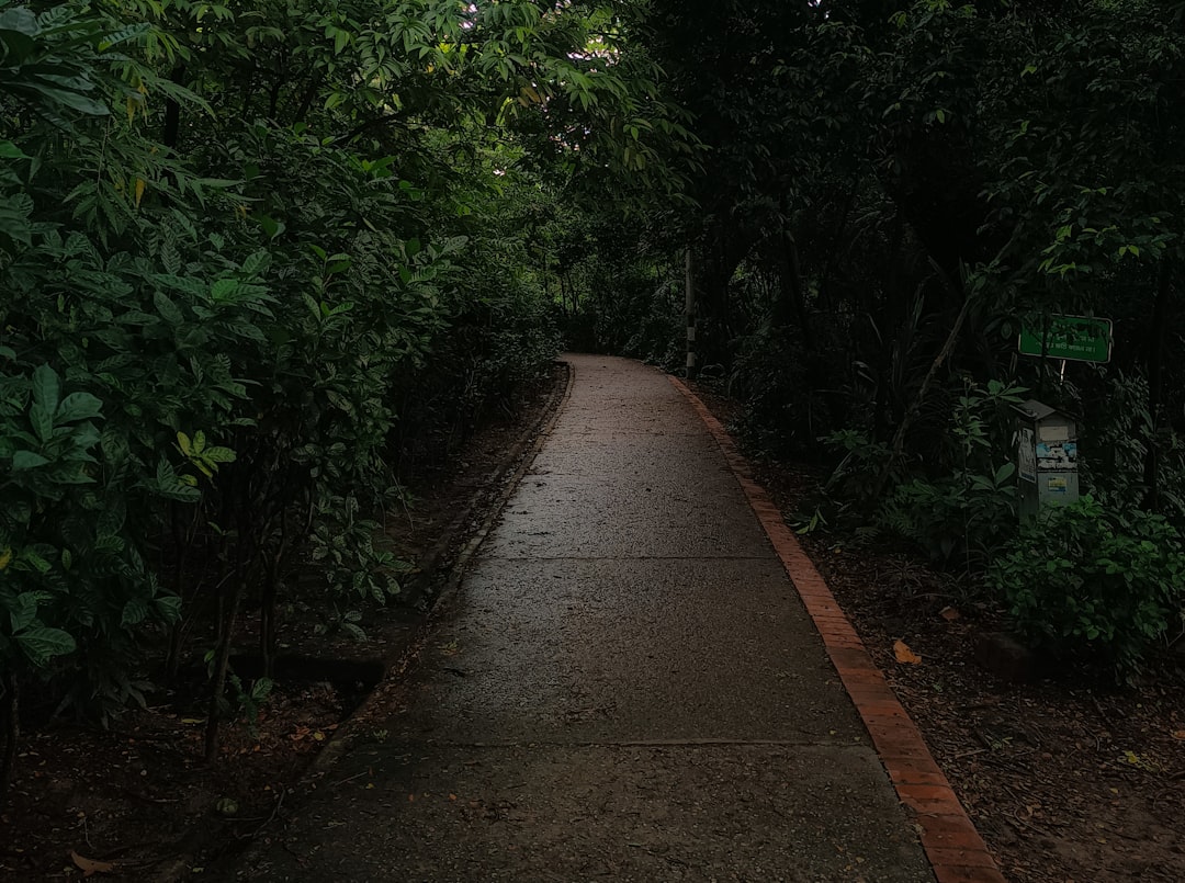 巨人の小道：調和したアートと自然 - 44 Causeway Rd | Secret World Trip Planner