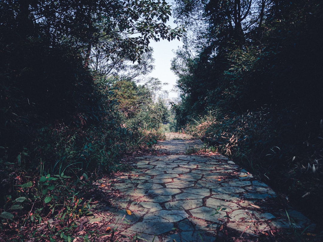 巨人之路：艺术与自然的和谐之旅 - 44 Causeway Rd | Secret World Trip Planner