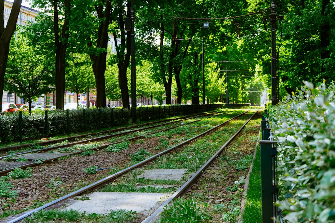 Strzelecki Park: Contemporary Art in Kraków's Greenery - Zygmunta Augusta 7 | Secret World Trip Planner