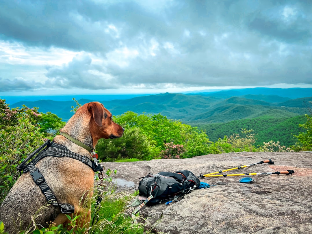 Scoprire l'Appalachian National Scenic Trail - Appalachian National Scenic Trail | Secret World Trip Planner