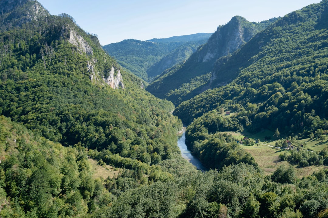 Scopri il Fascino del Tara Canyon in Montenegro - Tepca | Secret World Trip Planner
