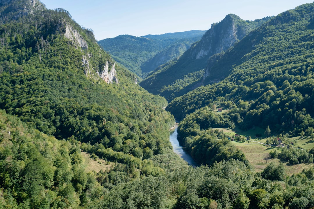 Откройте очарование каньона Тара в Черногории - Tepca | Secret World Trip Planner