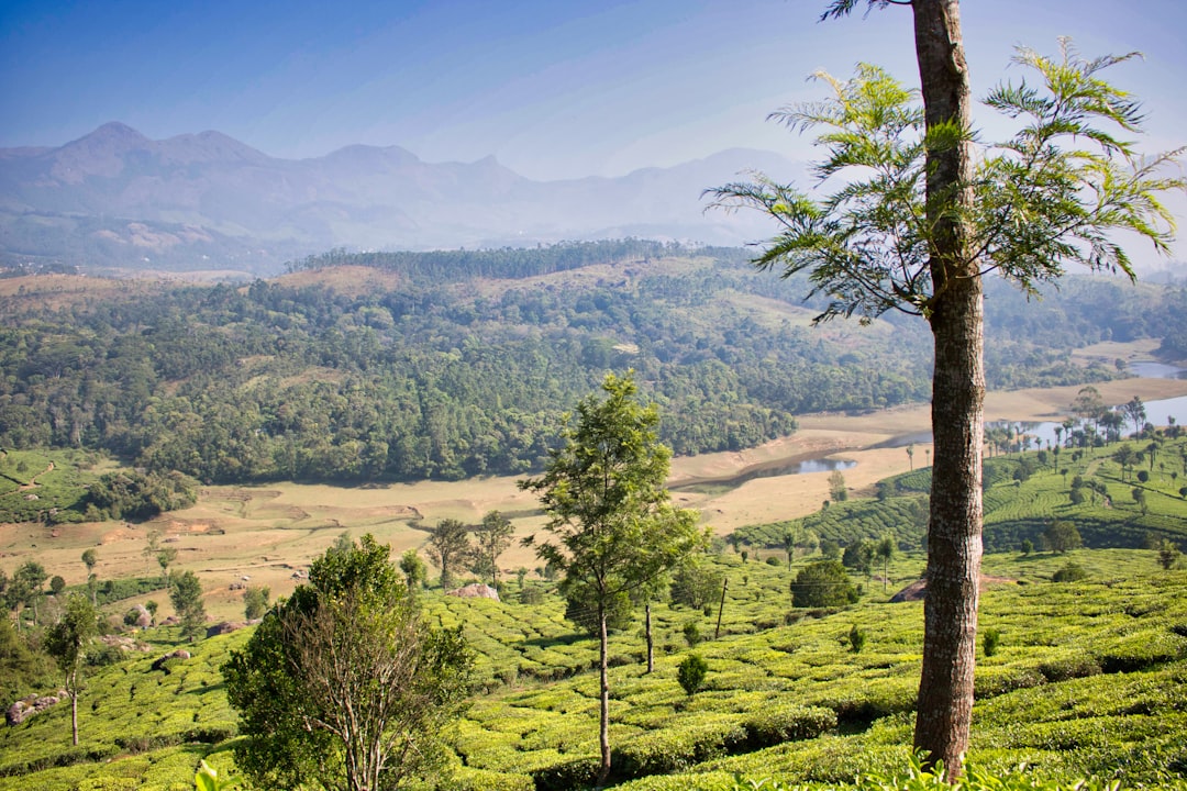 ムンナール：茶畑の楽園でのひととき - Munnar | Secret World Trip Planner