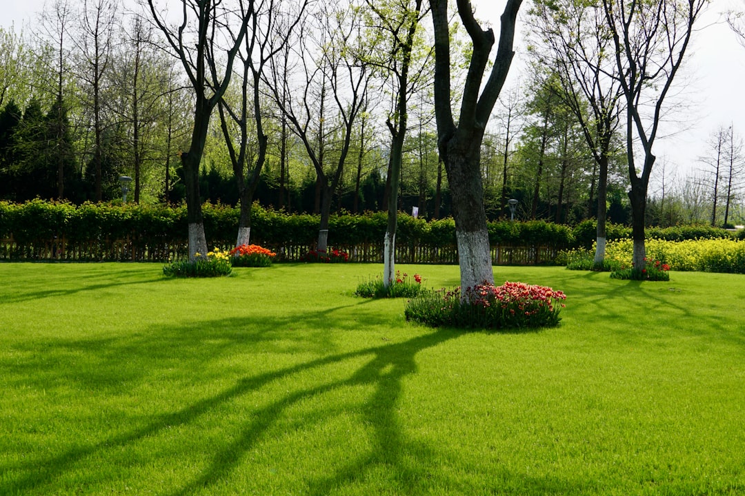 Entdecke den Parco Giardino Sigurtà: Ein Grünes Paradies - 1 | Secret World Trip Planner