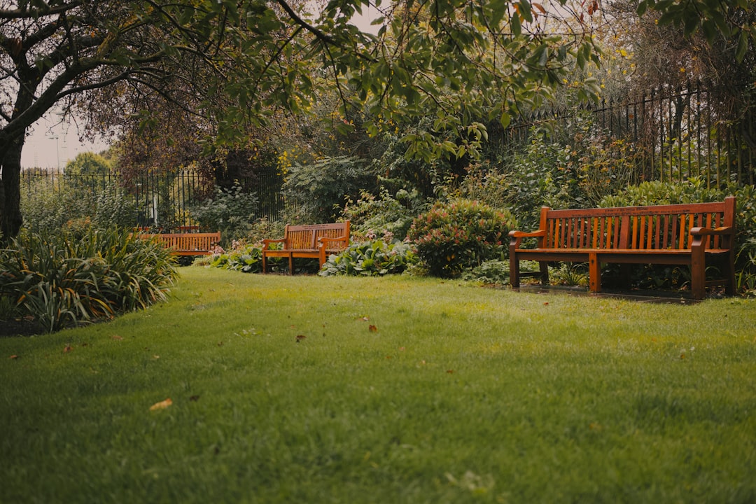 Descubre el Parque Jardín Sigurtà: un Paraíso Verde - 1 | Secret World Trip Planner