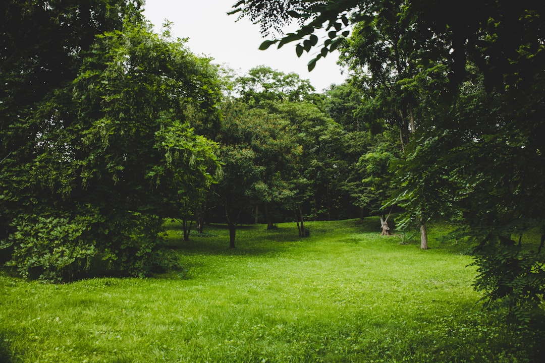 シグルタ庭園公園を発見：緑の楽園 - 1 | Secret World Trip Planner