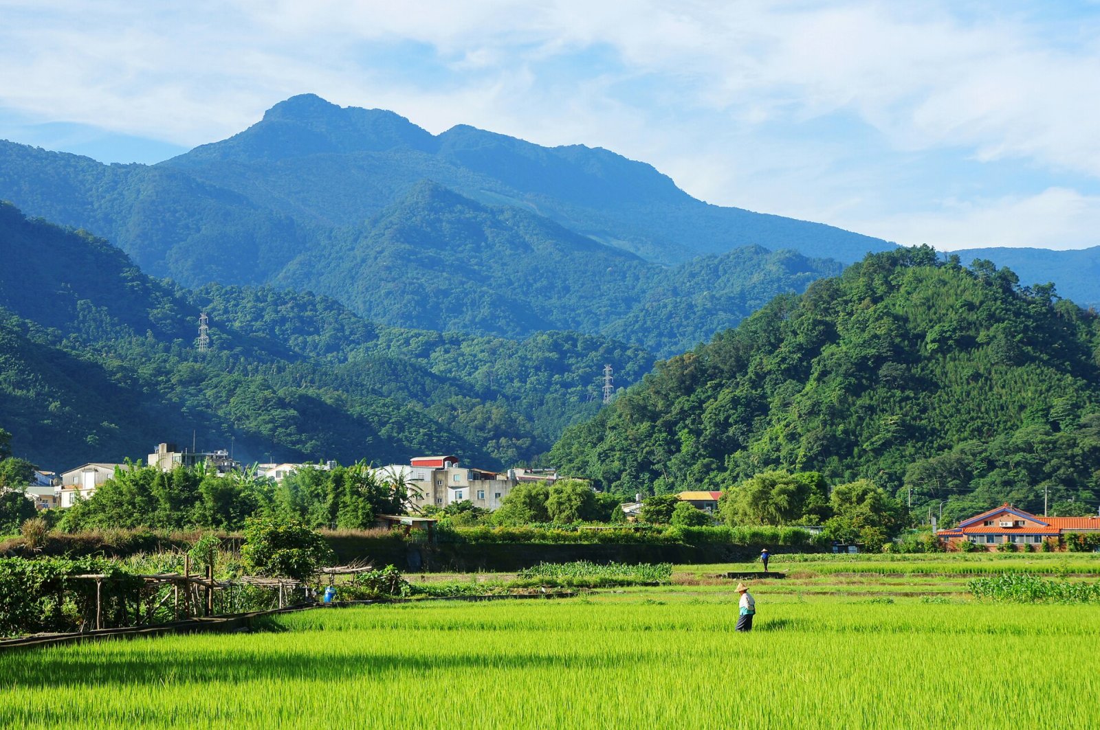 探索台湾嘉里山山脉的魔力 - Meiyuan Village | Secret World Trip Planner