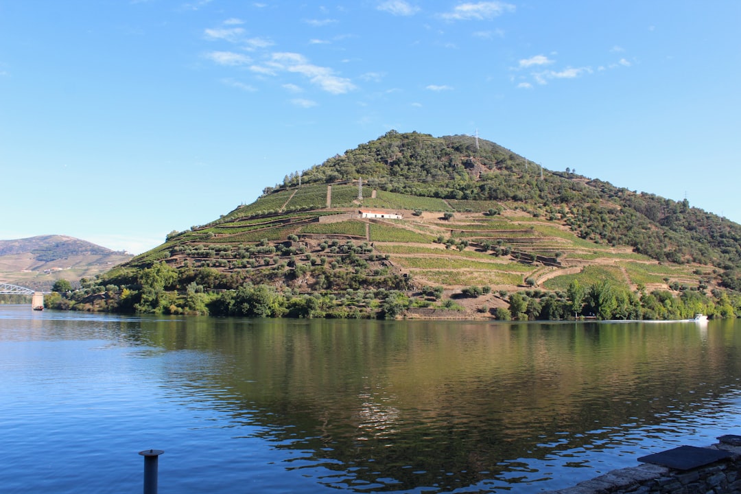 Entdecken Sie die Magie der Douro Valley Weinregion in Pinhão | Secret World Trip Planner