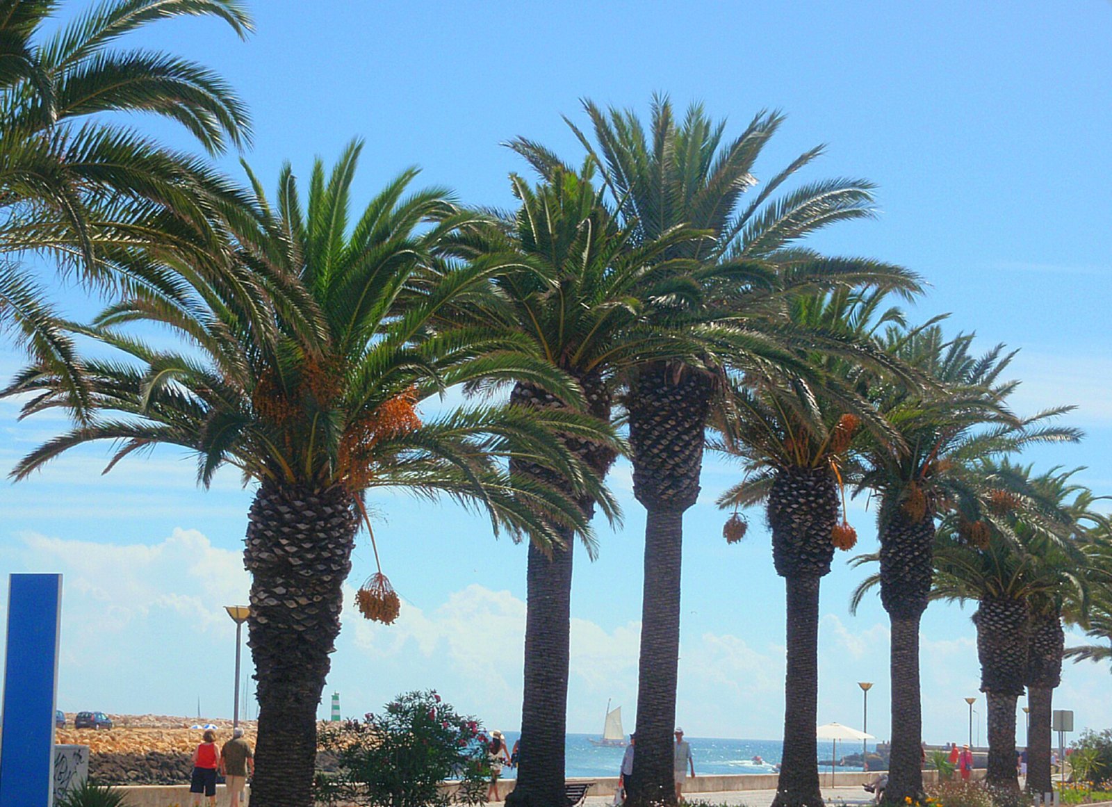 Scopri il fascino dell'Algarve a Lagos: natura e avventura | Secret World Trip Planner