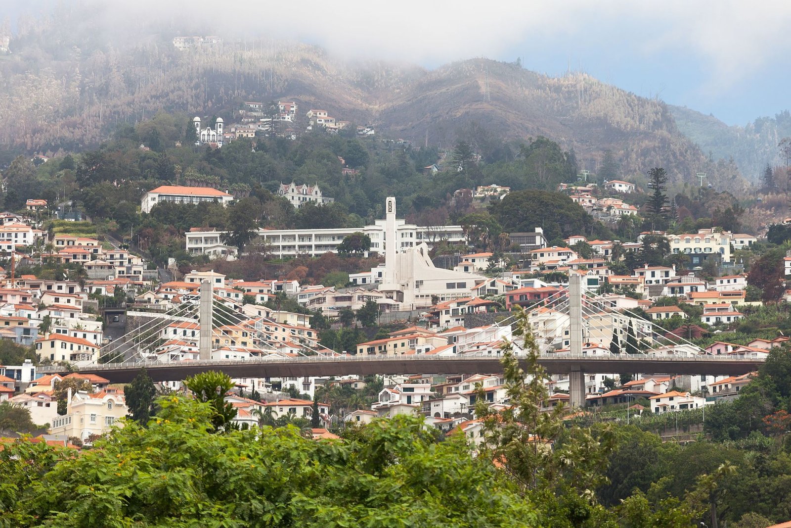 Explorez les Levadas de Madère : Un Voyage entre Nature et Culture | Secret World Trip Planner
