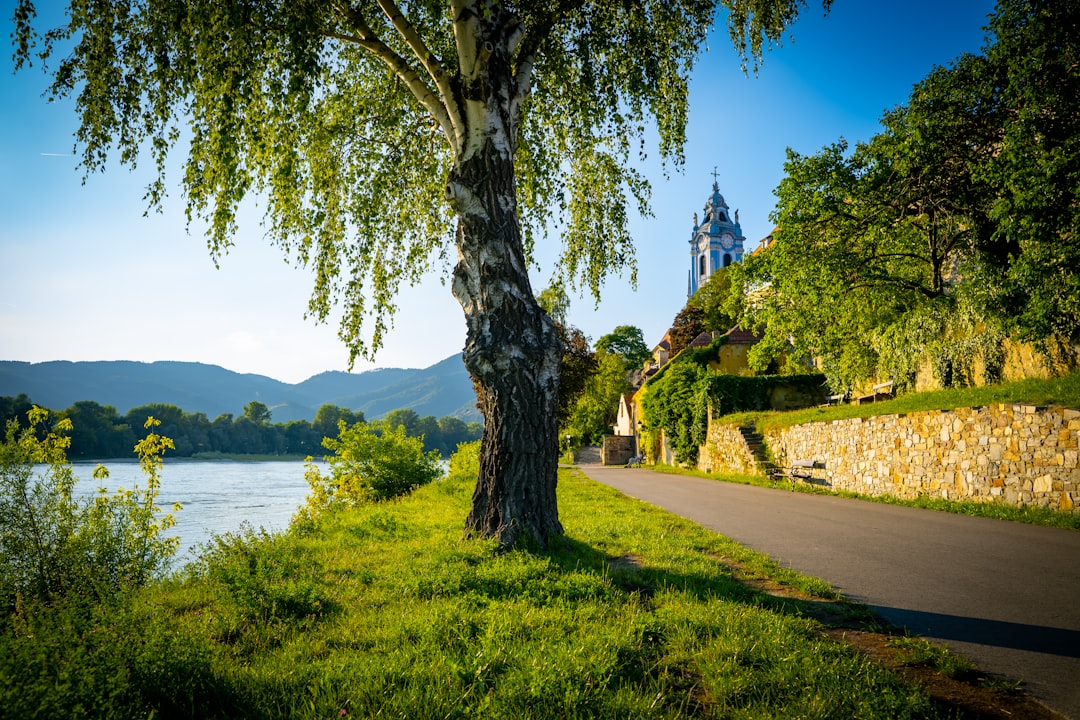 ワハウ渓谷を発見：オーストリアの宝石 - Mautern an der Donau | Secret World Trip Planner