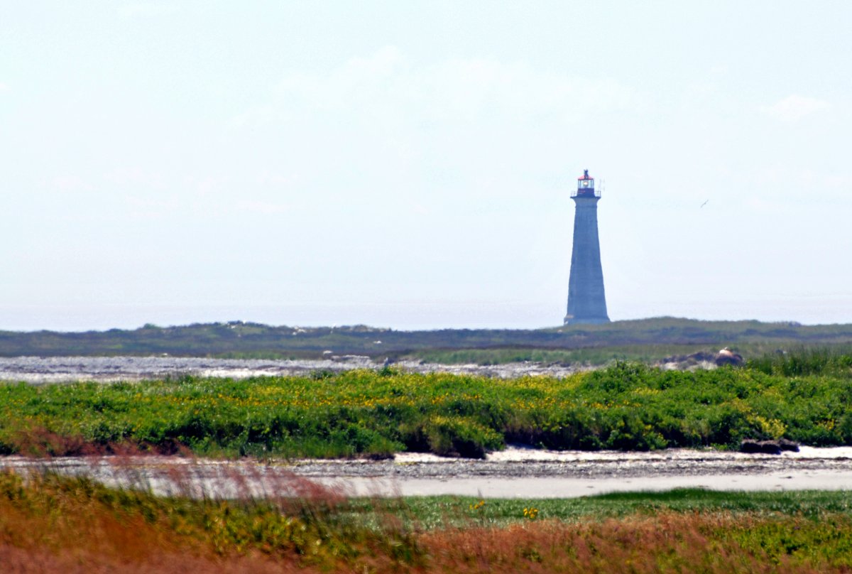 Cape Sable灯塔的野性美 - The Hawk | Secret World Trip Planner