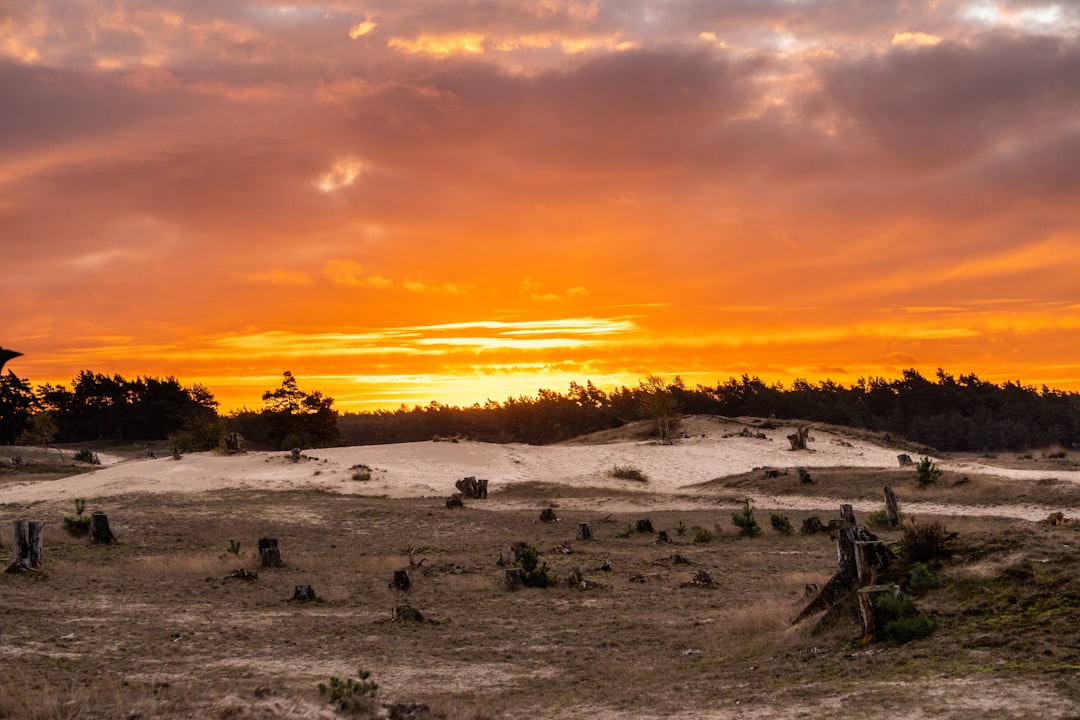 Entdecken Sie die Schönheit des Nationalparks Hoge Veluwe - Otterlo | Secret World Trip Planner