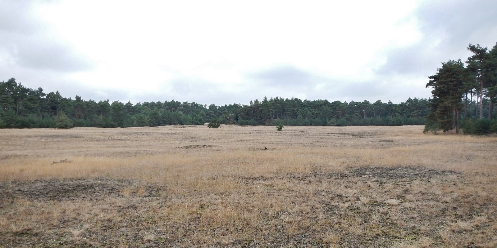 Descubra a beleza do Parque Nacional Hoge Veluwe - Otterlo | Secret World Trip Planner