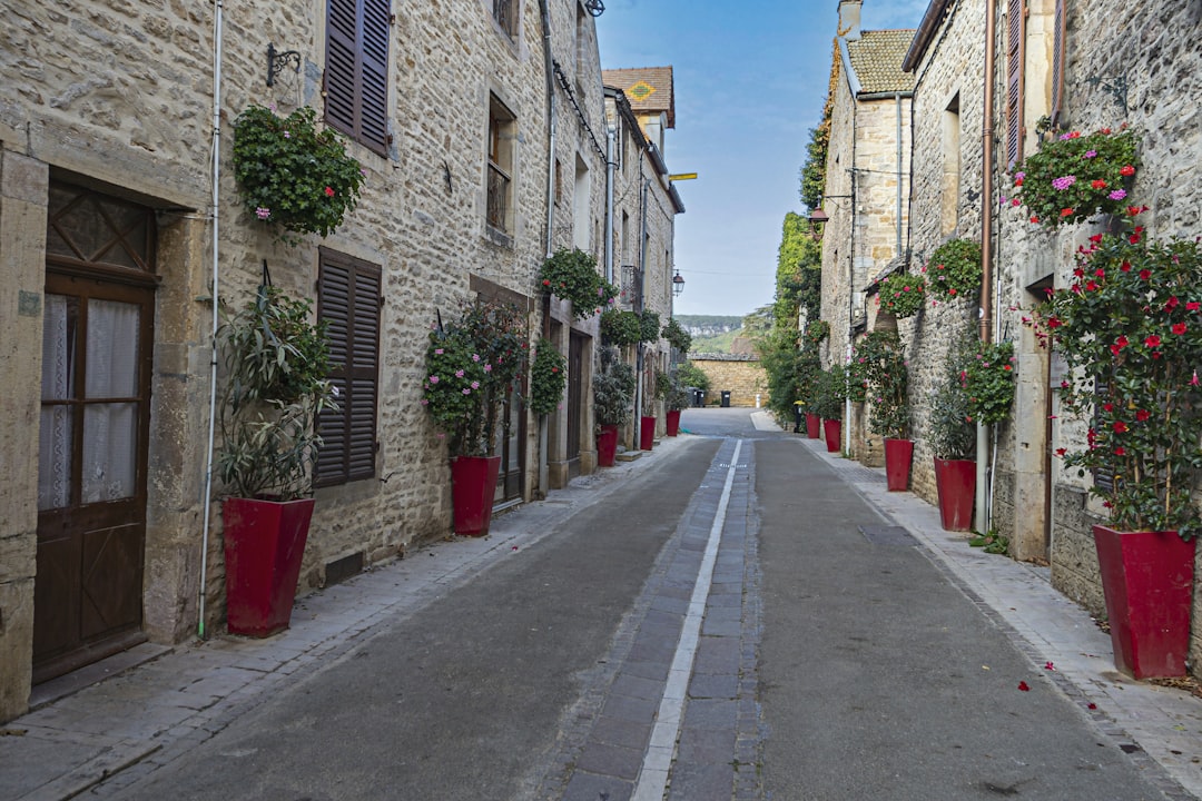 Descubre la Côte-d'Or: La Magia del Vino de Borgoña - Côte-d'Or | Secret World Trip Planner