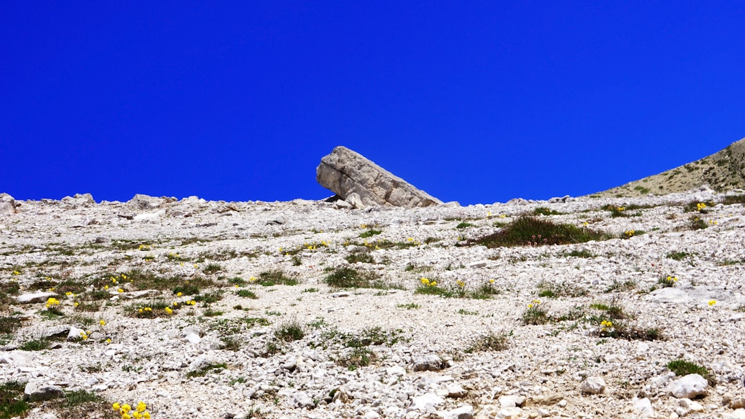 Osservatorio di Cerro Tololo: Un Paradiso per gli Astronomi - Vicuña | Secret World Trip Planner