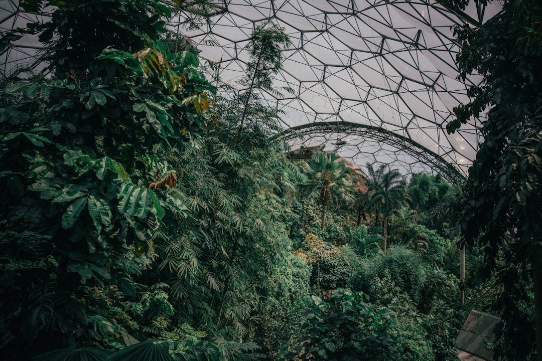Откройте для себя Eden Project: путешествие по природе и культуре в Англии - 9P5V+VV Mettet | Secret World Trip Planner