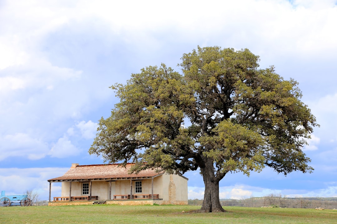 Descubre el Texas Hill Country: Un Viaje a Fredericksburg — Chamdo