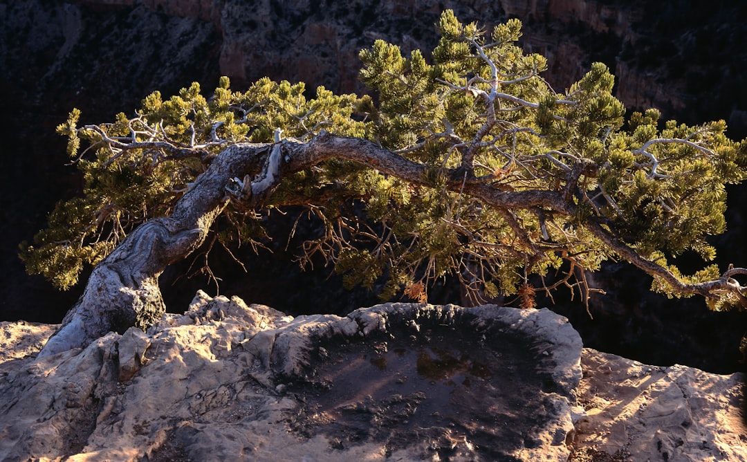Tramontes deslumbrantes em Mather Point no Grand Canyon - Grand Canyon Village | Secret World Trip Planner