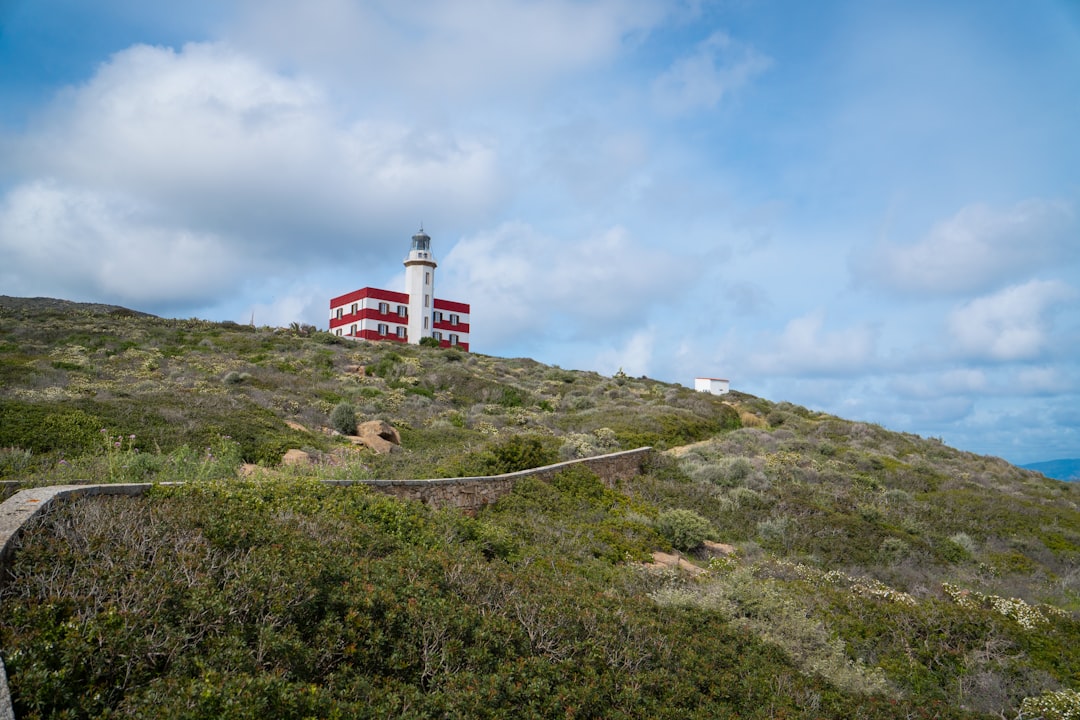 Faro de Cape Reinga: Donde se Encuentran los Mares - Capo Reinga 0484 | Secret World Trip Planner