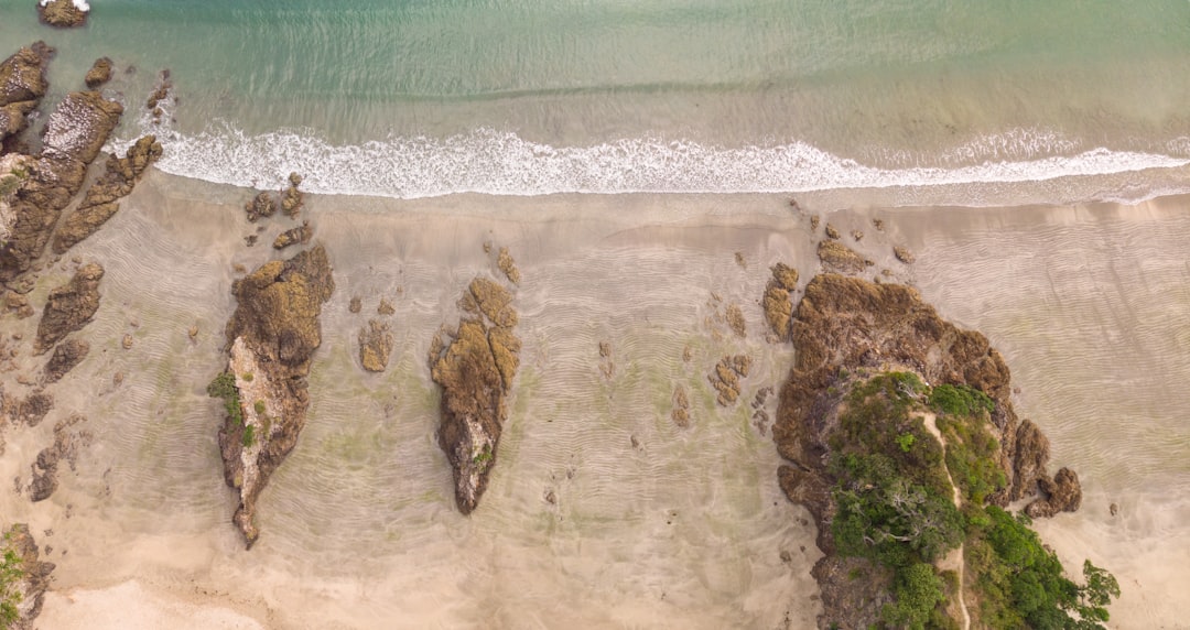 Playas de Ensueño: La Isla Waiheke en Nueva Zelanda - Isola Waiheke | Secret World Trip Planner