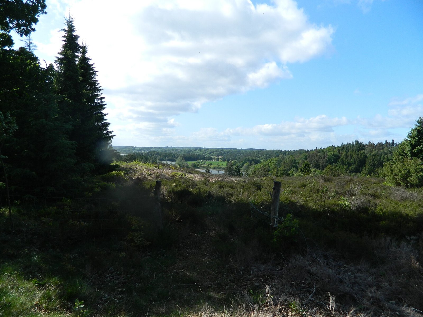 Sukkertoppen : un bijou naturel du Danemark - 2MQG+CM Skanderborg | Secret World Trip Planner