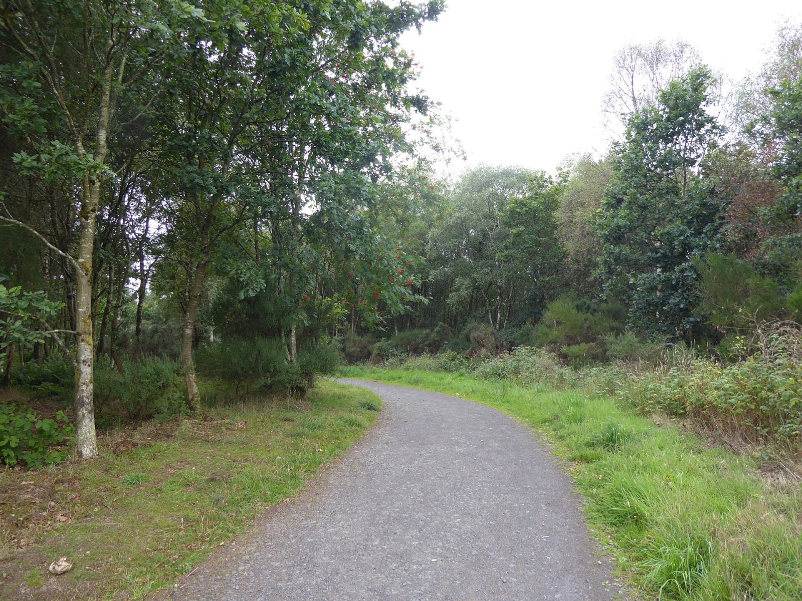 Moncreiffe Hill: 스코틀랜드의 자연의 한 구석 - Perth and Kinross | Secret World Trip Planner