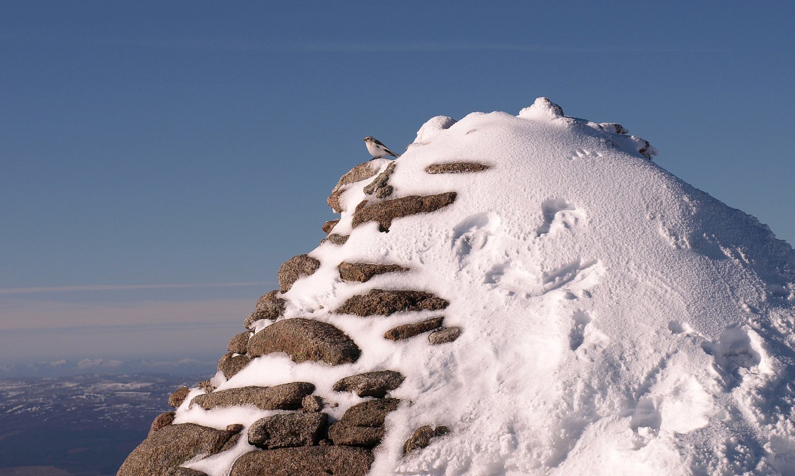 Cairn Gorm: Der ikonische Berg der schottischen Highlands - Highland Council | Secret World Trip Planner
