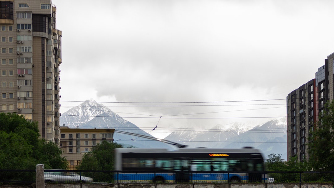 Откройте Алматы: Зеленый рынок и его чудеса - Almaty | Secret World Trip Planner
