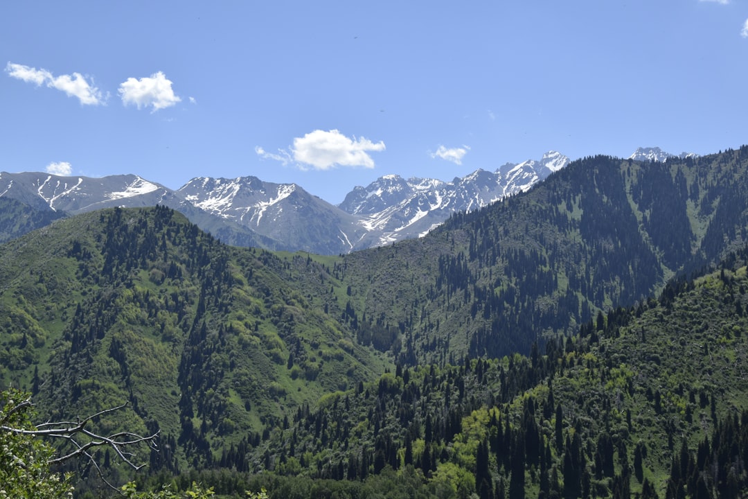 알마티 탐방: 녹색 시장과 그 매력들 - Almaty | Secret World Trip Planner
