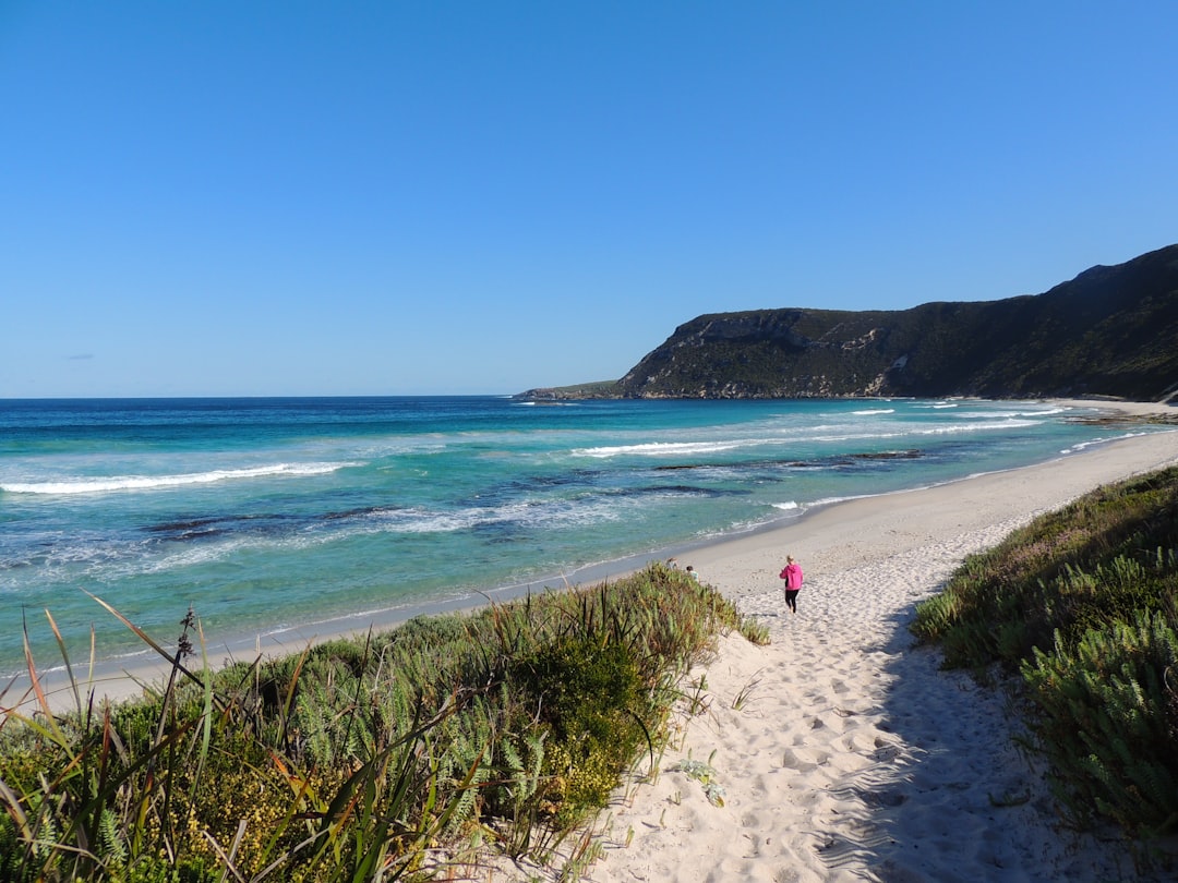 그레이트 오션 워크: 호주에서의 놀라운 여정 - Great Ocean Walk | Secret World Trip Planner