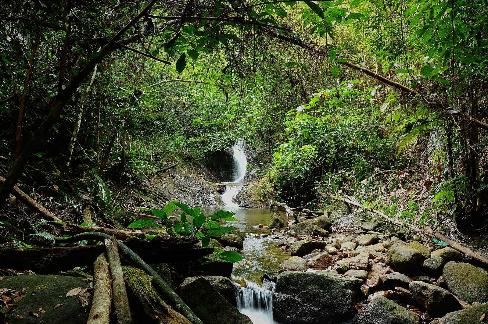 Découvrez Gunung Belumut : un trésor naturel de Malaisie - Kulai | Secret World Trip Planner