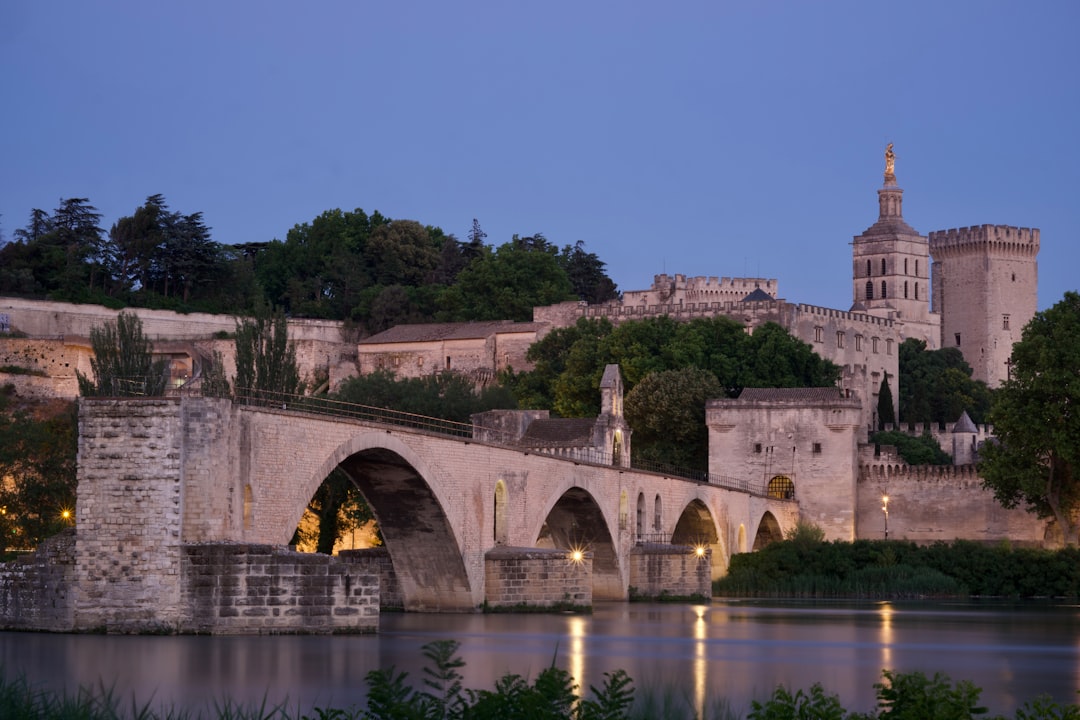 Pont Vieux: Il Ponte Nascosto di Albi - Pont Vieux | Secret World Trip Planner