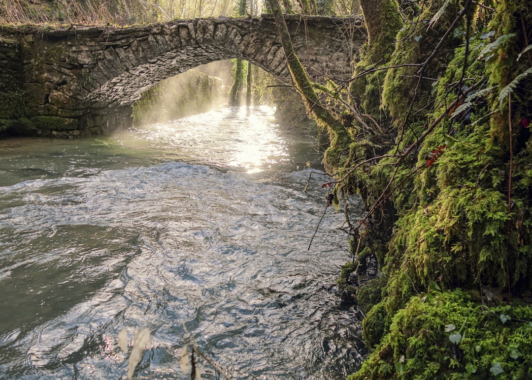 Pont Vieux: Die verborgene Brücke von Albi - Pont Vieux | Secret World Trip Planner