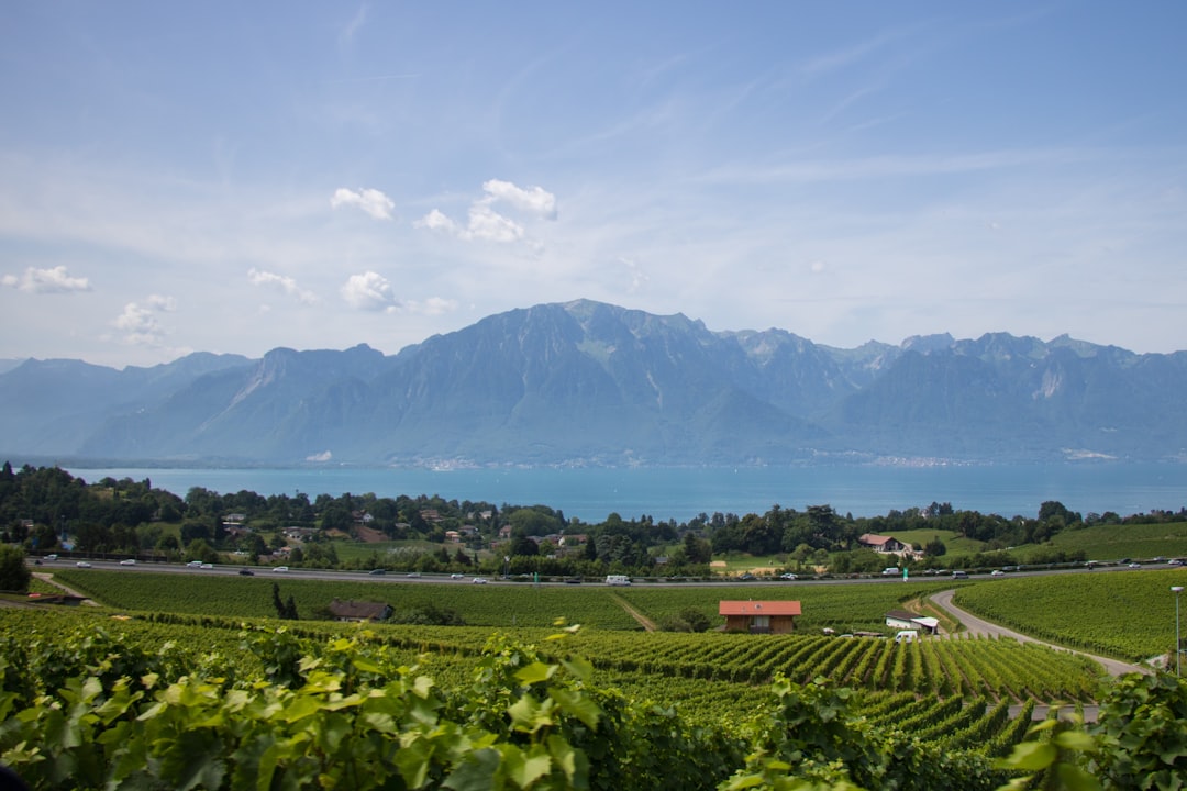 Château d'Ouchy: A Hidden Gem in Switzerland - Pl. du Port | Secret World Trip Planner