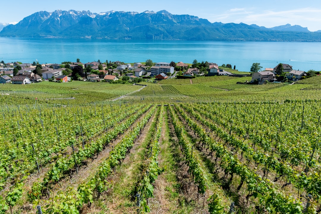 Château d'Ouchy: Ein verstecktes Juwel in der Schweiz - Pl. du Port | Secret World Trip Planner