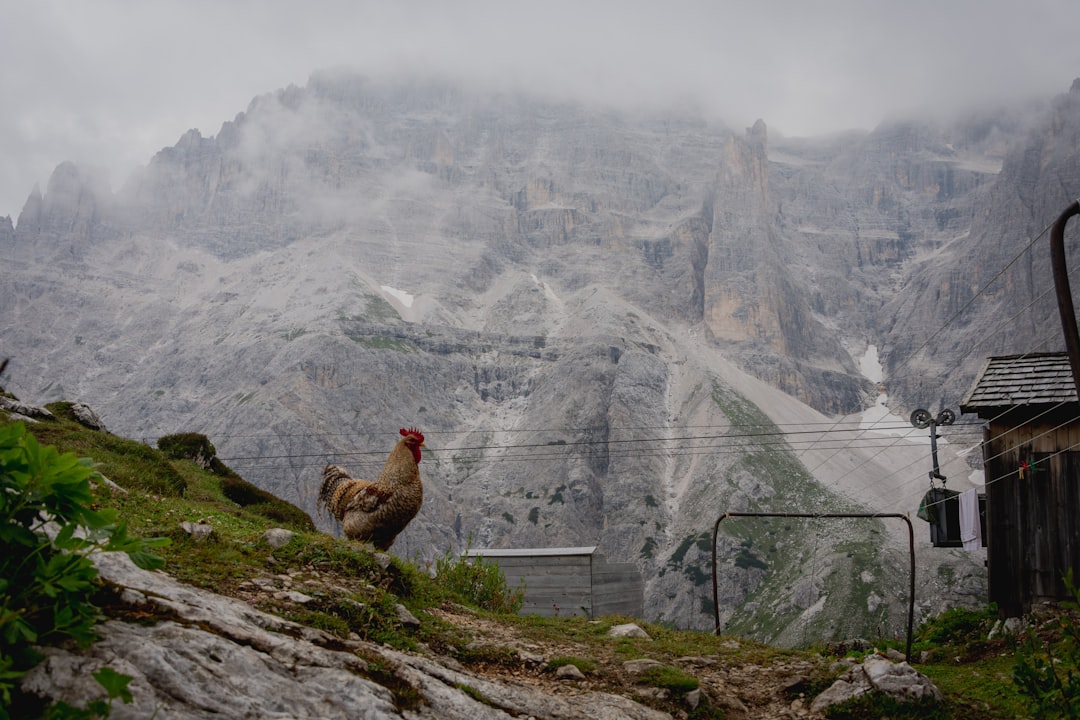 Sesto: Un Paradiso Nascosto nelle Dolomiti - 39030 Sesto BZ | Secret World Trip Planner