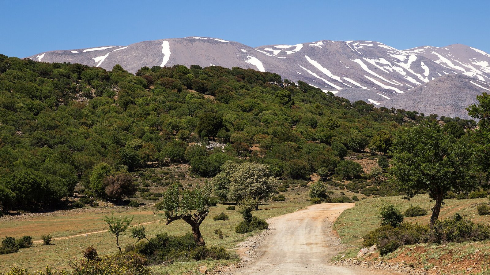 Esplorando il Parco Naturale di Psiloritis in Grecia - Kouloukonas | Secret World Trip Planner