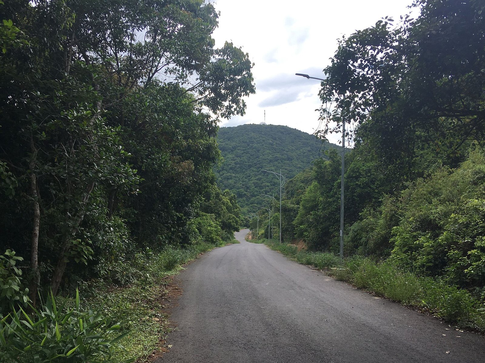 Scopri la Montagna di Son Tra: Un Paradiso Naturale in Vietnam - Son Tra | Secret World Trip Planner