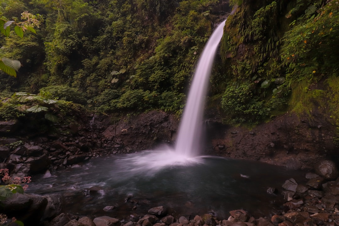 라파즈의 숨겨진 폭포 탐험하기 - Provincia di Alajuela | Secret World Trip Planner