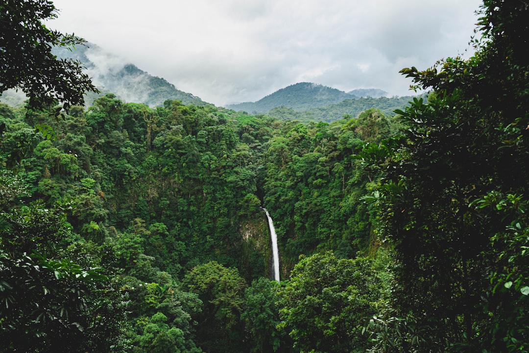 Cascades cachées de Fortuna : une oasis verte - Provincia di Alajuela | Secret World Trip Planner