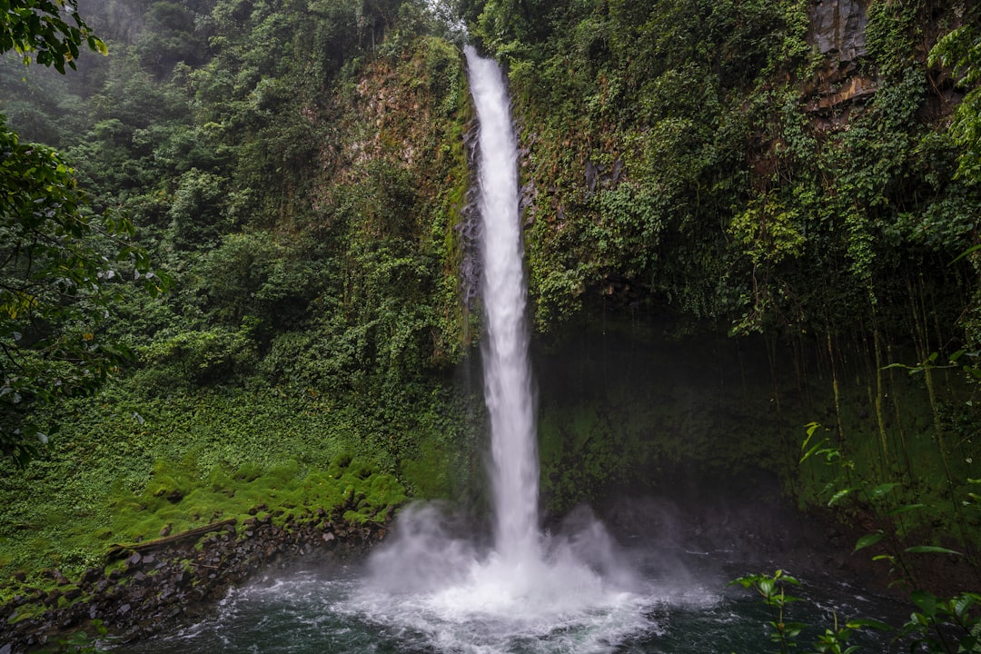 隐藏的福尔图娜瀑布：绿色中的绿洲 - Provincia di Alajuela | Secret World Trip Planner