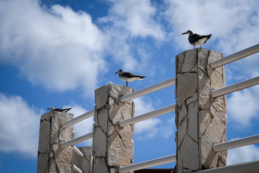 Perfect Cancun Itinerary: Plan with Secret World - Cancún | Secret World Trip Planner