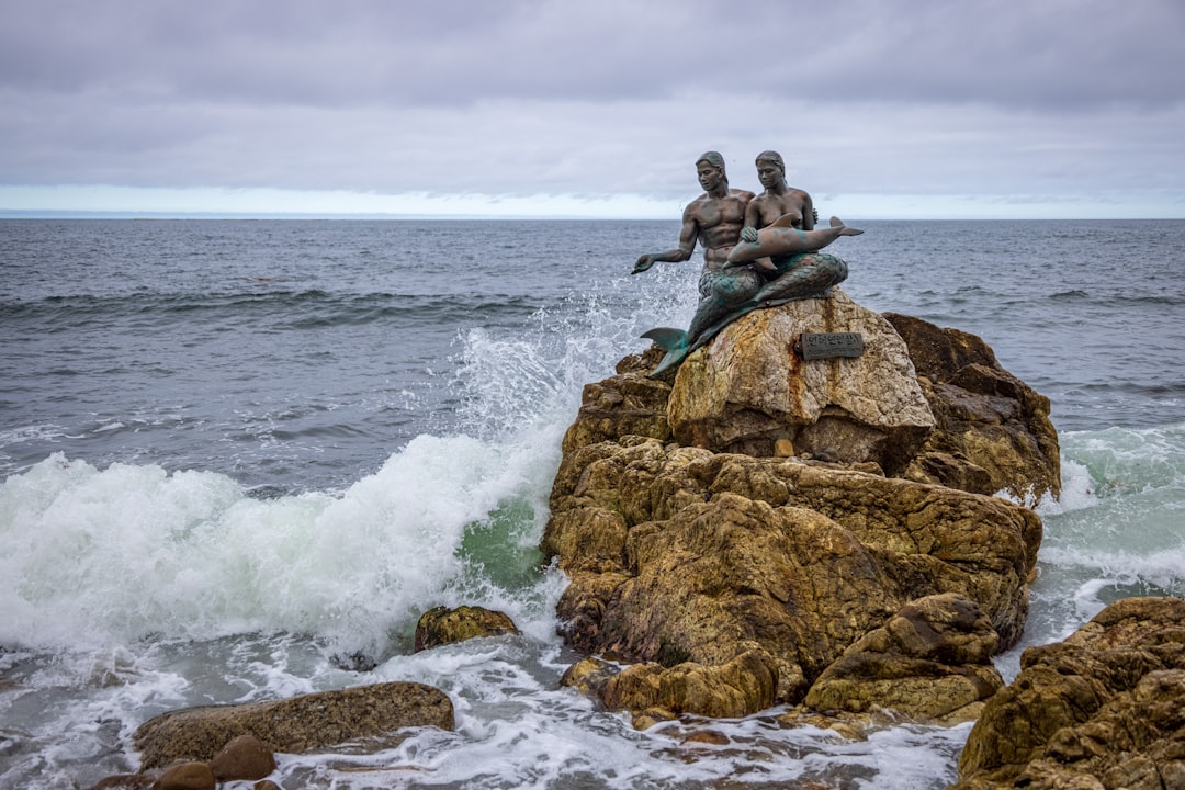 Esculturas à Beira-Mar: Arte e Natureza em Surry Hills - 302/61 Marlborough St | Secret World Trip Planner