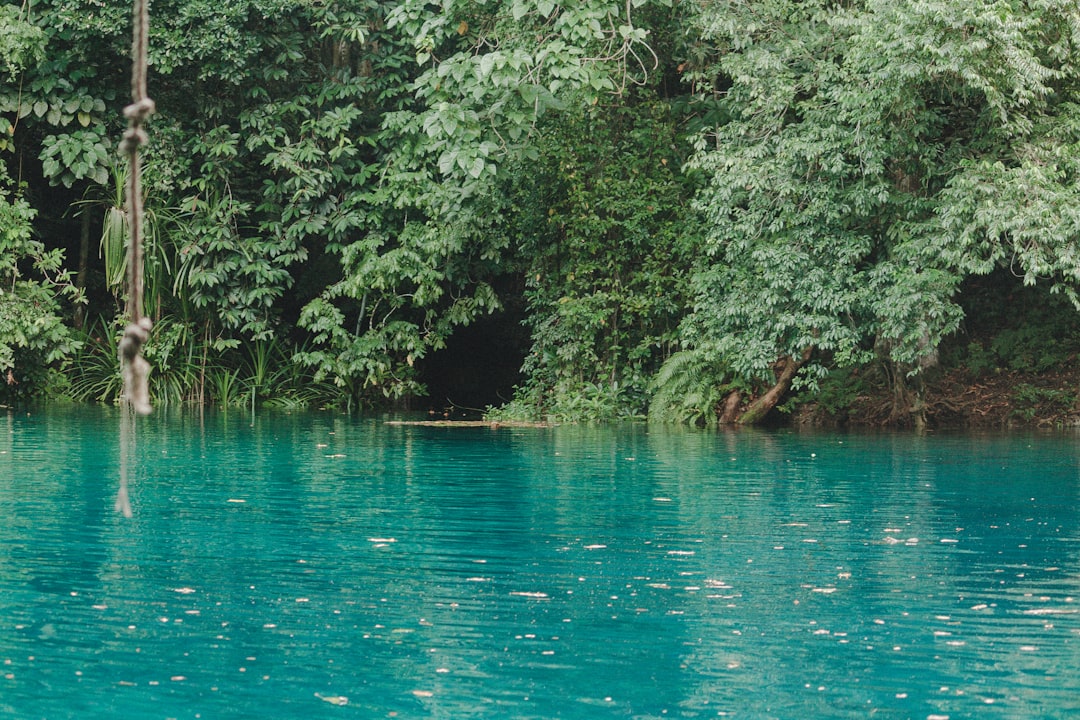 Das Große Blaue Loch: Ein Unterwasserparadies in Belize | Secret World Trip Planner