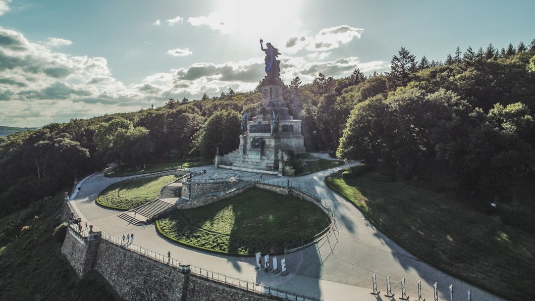 Descubre los Riesling Raros de Rüdesheimer Berg Drachenstein - Am Niederwald 3 | Secret World Trip Planner