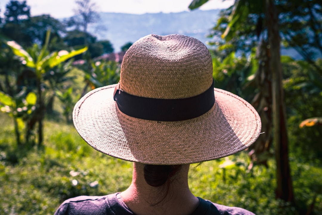 Cerro Gandi : Un Paradis Naturel au Panama | Secret World Trip Planner
